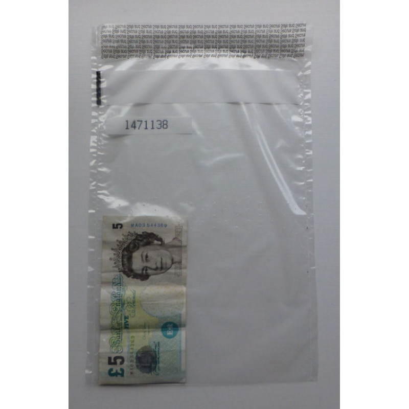 1000 Large Tamper Evident Cash Bags